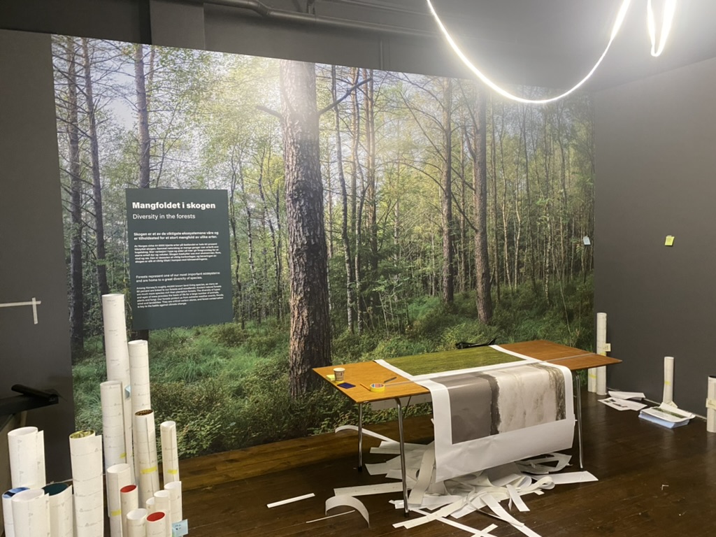Exhibition wall with forest graphics during installation at Stavanger museum